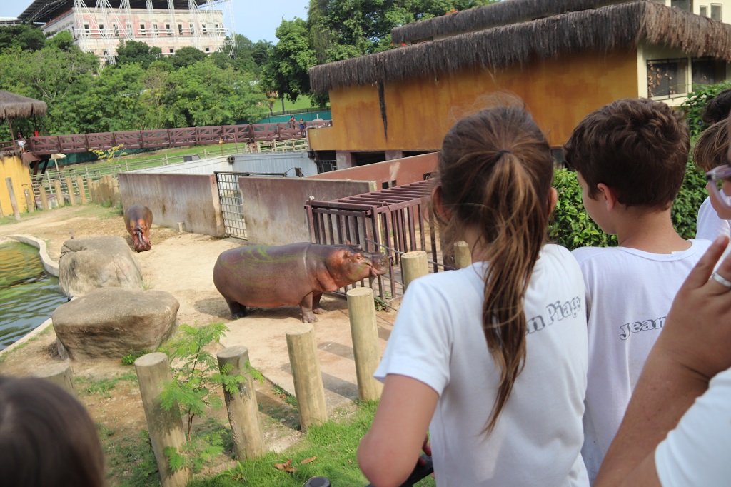 Aula externa na Quinta da Boa Vista e Bioparque encanta os alunos do 2º e 3º Anos do Fundamental I